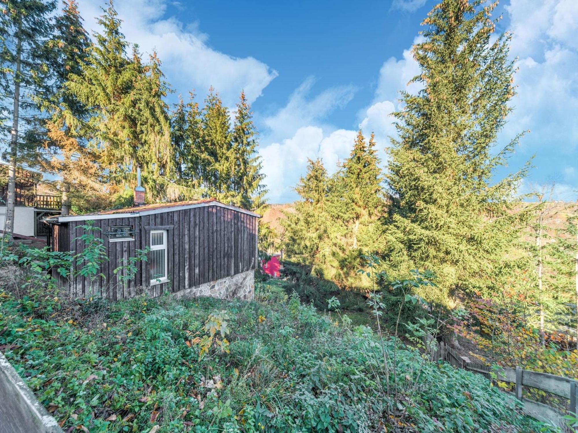 Comely Holiday Home In G Ntersberge Near Forest Güntersberge Exterior foto